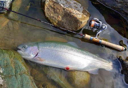 なんとか６０オーバーをキャッチ